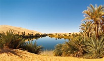 Cinco auténticos oasis en el desierto que te dejarán sin aliento