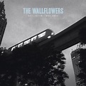 ‎The Wallflowers: Collected 1996-2005 by The Wallflowers on Apple Music