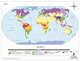 Mapa con los climas del mundo - Curriculum Nacional. MINEDUC. Chile.