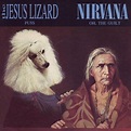 The Jesus Lizard & Nirvana - Puss / Oh, The Guilt Lyrics and Tracklist ...