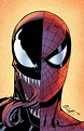 Spiderman and Venom | Arte da marvel, Homem aranha desenho, Papel de ...