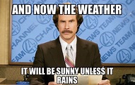 meteorologist meme - anne-mcgehee