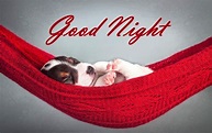 Good Night Text Messages, Wishes & Quotes for Him / Her - Good Night ...