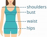 Body Shape Calculator - What Body Type Are You? - Inch Calculator