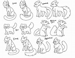 Warrior Cats Allegiances F2U Bases by musewings on DeviantArt
