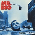 Bump Ahead +Bonus: Mr.Big: Amazon.it: CD e Vinili}