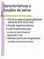 PPT - Bioquímica da Saliva PowerPoint Presentation, free download - ID ...