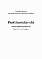 Praktikumsbericht