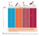 Hundealter und Lebenserwartung von Hunden - Karsivan®