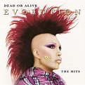 Dead Or Alive - Evolution: The Hits (CD) - Amoeba Music