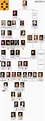 The Medici (With images) | Royal family trees, European history, History