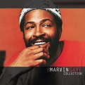 The Marvin Gaye Collection - Marvin Gaye mp3 buy, full tracklist