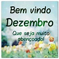 Bem vindo Dezembro! Que seja muito abençoado! - Frases Diárias