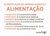 CLASSIFICAÇÃO dos ANIMAIS quanto à ALIMENTAÇÃO (2022)