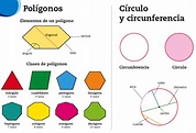 O Gato dos Castros: Polígonos. Círculo y circunferencia