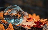 Download wallpaper 1920x1200 ball, glass, autumn, foliage, reflection ...
