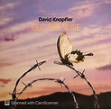 David Knopfler – Cut The Wire LP