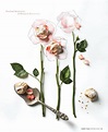 pinched rosewater and rhubabrb macaroons- Andrea Bricco for Sweet Paul ...