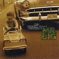 ‎Mr. Big在 Apple Music 上的《Big, Bigger, Biggest! The Best of Mr. Big》
