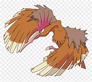 Fearow Transparent, HD Png Download - vhv