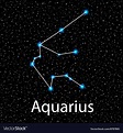 Zodiac Constellations Aquarius