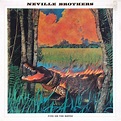 The Neville Brothers - Fiyo On The Bayou (1986, Vinyl) | Discogs