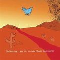 Sam Amidon - But This Chicken Proved Falsehearted: lyrics and songs ...