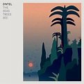 Dntel The Seas Trees See - Album Cover POSTER - Lost Posters