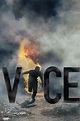 Vice (2013)