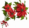 christmas poinsettias clipart 20 free Cliparts | Download images on ...