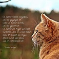 Katze Tod Trauer - information online