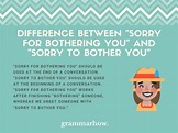 Sorry For Bothering You vs. Sorry To Bother You (Meaning & Alternatives)