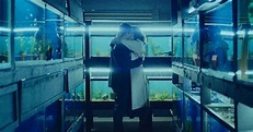 LITTLE FISH – Trailer oficial – Cinevisão