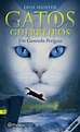 Gatos Guerreiros N.º 5 - Livro - WOOK