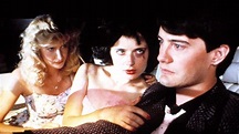 Blue Velvet - Kritik | Film 1986 | Moviebreak.de