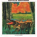 Album Fiyo on the bayou de Neville Brothers sur CDandLP