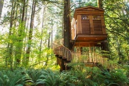 Britney Spears Would Love These High-Design Treehouses | Architectural ...