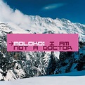 Moloko - I am Not a Doctor - Reviews - Album of The Year