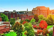 Duquesne University: #288 in Money's 2020-21 Best Colleges Ranking