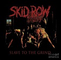 SKID ROW Slave To The Grind Album Cover Digital Art by Scott D Van ...