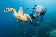 Famed Oceanographer Jean-Michel Cousteau To Join Crystal Sailings