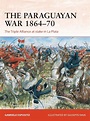 The Paraguayan War 1864–70: The Triple Alliance at stake in La Plata ...