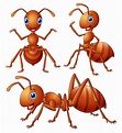 Ilustración de vector de conjunto de dibujos animados de hormigas ...