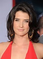 Pictures of Cobie Smulders