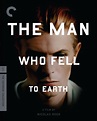 The Man Who Fell to Earth (1976) | The Criterion Collection