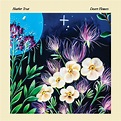 Heather TROST - Desert Flowers Vinyl at Juno Records.