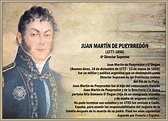 Biografía de Pueyrredón Juan Martín:Vida Política y Logros
