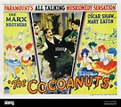 THE COCOANUTS (1929), directed by ROBERT FLOREY and JOSEPH SANTLEY ...