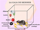 La Caja De Skinner: En Qué Consiste Este Experimento. - Psicologistica