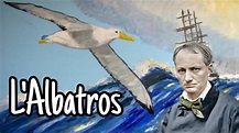 L'ALBATROS - Charles Baudelaire: analyse et explication - YouTube